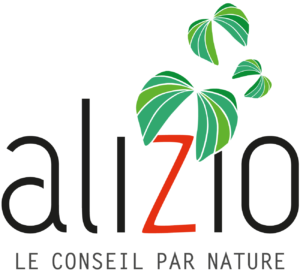 Logo alizio